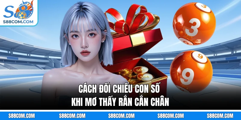 Cách đối chiếu con số khi mơ thấy rắn cắn chân