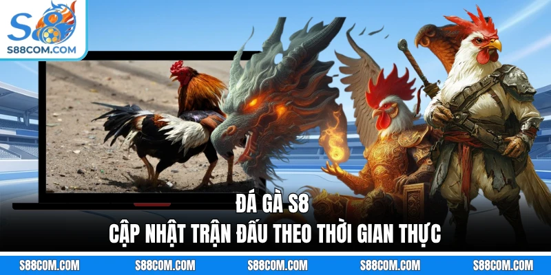 Đá gà S8 cập nhật trận đấu theo thời gian thực