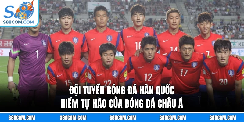 Đội Tuyển Bóng Đá Hàn Quốc - Niềm Tự Hào Của Bóng Đá Châu Á