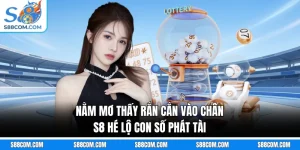 Nằm Mơ Thấy Rắn Cắn Vào Chân - S8 Hé Lộ Con Số Phát Tài