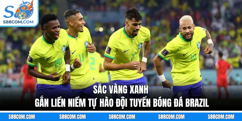 Sắc vàng xanh gắn liền niềm tự hào đội tuyển bóng đá Brazil